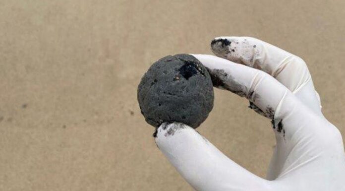 해변가 떠내려온 수백개 검은 공으로 시드니 쿠지 비치 폐쇄 .Mysterious ball-shaped debris has washed up on Coogee Beach. (Randwick City Council )