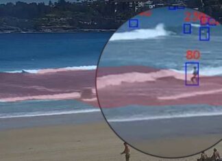 세계 최초의 AI 프로그램이 올 여름 호주 해변 순찰을 돕는다 The AI technology distinguishes between waders, swimmers who are OK, and swimmers who are in distress. (Supplied)