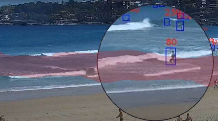 세계 최초의 AI 프로그램이 올 여름 호주 해변 순찰을 돕는다 The AI technology distinguishes between waders, swimmers who are OK, and swimmers who are in distress. (Supplied)