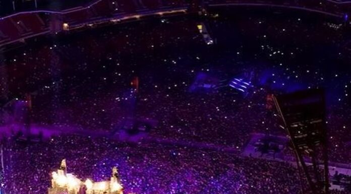 시드니 야외 음악 축제에서 20대 남성 사망 Knockout Outdoor was held at Sydney Showground in Homebush on Saturday. (Instagram)