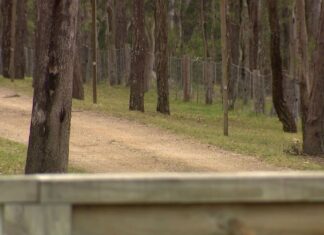 NSW 헌터벨리, 남편에게 살해당한 여성, 아들에게 ‘헌신적’이고 ‘이타적’으로 기억되다 Police attended the scene after a concern for welfare report. (Nine)
