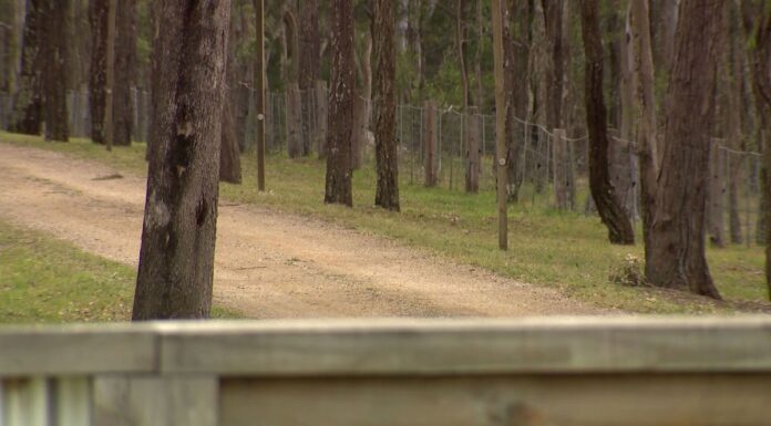 NSW 헌터벨리, 남편에게 살해당한 여성, 아들에게 ‘헌신적’이고 ‘이타적’으로 기억되다 Police attended the scene after a concern for welfare report. (Nine)