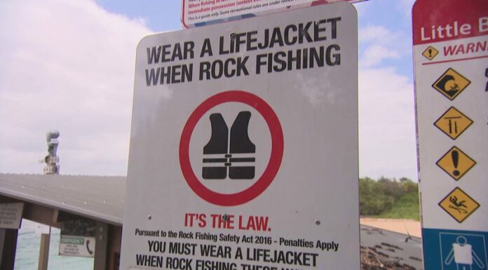 NSW 생명 구조 계획에 따라 바위 낚시꾼에게 무료 구명조끼 제공 An expanded program will target communities most at risk by handing out free life jackets that could help more fishers make it home. (Nine)