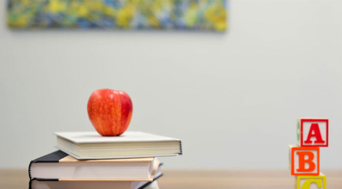 호주HSC 시험 외국어 지원 급감 Element5 Digital_element5digital_unsplash