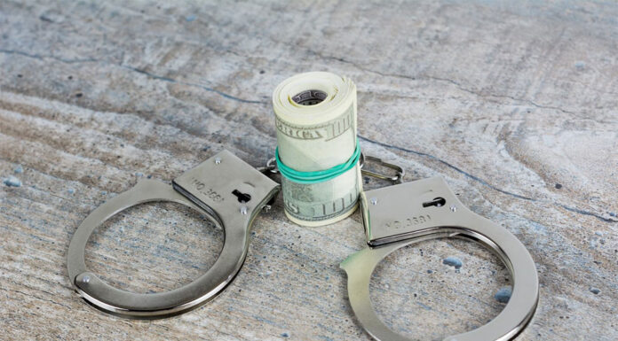 호주 의료용 대마초 합법화가 불러온 ‘남용’ bermix studio_bermixstudio_unsplash