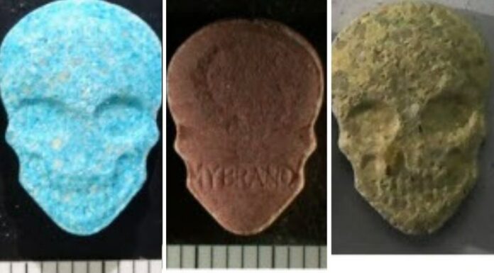 NSW 보건부, 유통되는 해골모양 고용량 MDMA 정제에 대한 경고 The skull-shaped tablets contain high doses of MDMA and some also contain dipentylone. (NSW Health)