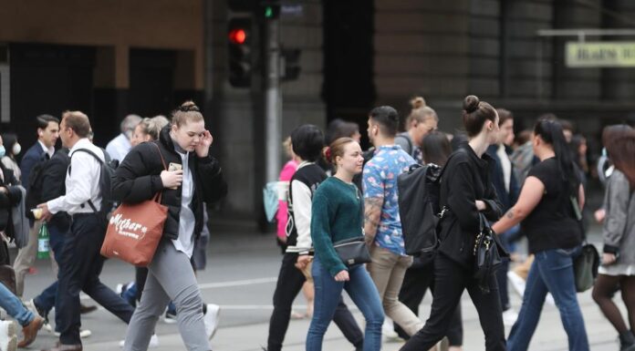 호주 근로자중 5명 중 1명이 공무원, 급여 총액 2,320억 달러 Australia has 2.5 million public sector employees. Picture David CroslingNCA NewsWire