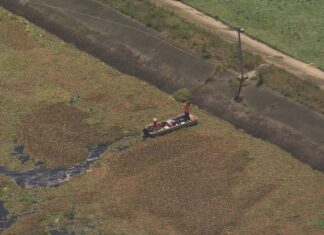“도망칠 곳 없다”: 시드니 지역 모기떼 습격으로 주민들 고통 Residents of a south-western Sydney community have effectively been locked indoors as mosquitoes swarm the area. (9News)