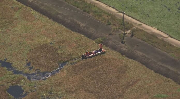 “도망칠 곳 없다”: 시드니 지역 모기떼 습격으로 주민들 고통 Residents of a south-western Sydney community have effectively been locked indoors as mosquitoes swarm the area. (9News)