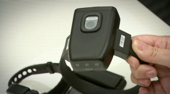 NSW, IT 오류로 인해 수천 건의 보호 명령이 조기에 만료 돼 Up to 150 victim-survivors in NSW have been left vulnerable after a computer error changed the expiry date on thousands of Apprehended Violence Orders. (Nine)