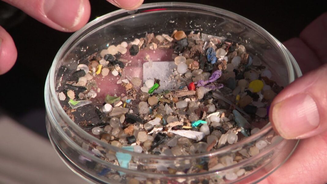 Microplastics, found in everything from our drink bottles to clothes, have been linked to colon and lung cancer, an international study has shown. (Nine)