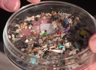 마이크로플라스틱, 폐와 대장암과 연관 있다는 연구 결과 Microplastics, found in everything from our drink bottles to clothes, have been linked to colon and lung cancer, an international study has shown. (Nine)