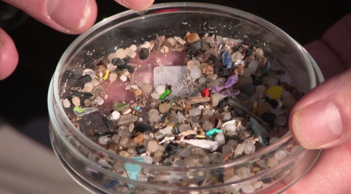 마이크로플라스틱, 폐와 대장암과 연관 있다는 연구 결과 Microplastics, found in everything from our drink bottles to clothes, have been linked to colon and lung cancer, an international study has shown. (Nine)