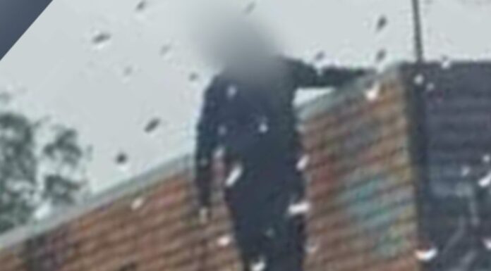 시드니 케임브리지 파크 버거매장 부부 사망사건 아들 살해 혐의로기소 CCTV footage captured a 'shadowy' figure. (9News)