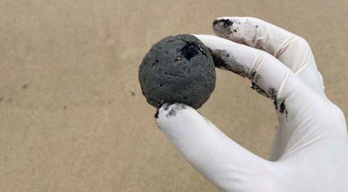 호주 EPA, 미스터리한 공 파편에 대한 조사 확대 In October, mysterious ball-shaped debris washed up on Coogee Beach in Sydney. (Randwick City Council ) (Randwick city council)