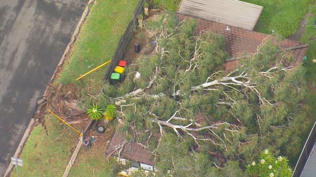 Thousands of homes across Greater Sydney remain without power. (9News)