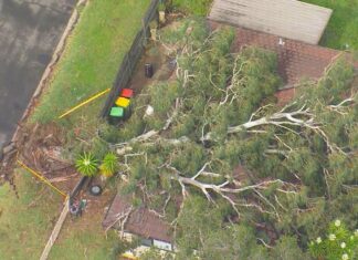 시드니 폭풍 후 수천 가구 여전히 전력 공급 중단 Thousands of homes across Greater Sydney remain without power. (9News)