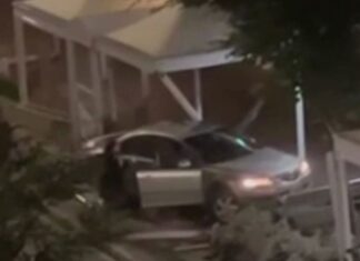 시드니 여성, 시드니 서부에서 트레인 선로로 돌진 후 보도에 올라가 Passerbys caught the moment on camera as witnesses rushed to her aid. (Nine)