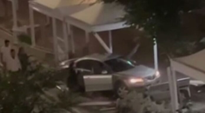 시드니 여성, 시드니 서부에서 트레인 선로로 돌진 후 보도에 올라가 Passerbys caught the moment on camera as witnesses rushed to her aid. (Nine)