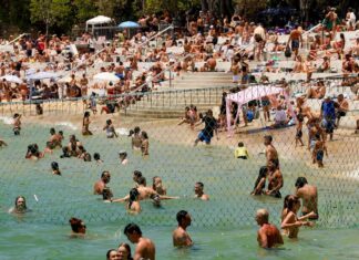 올여름 NSW 해변에서 1000건 이상의 구조 발생 Shark Beach at Nielsen Park in Sydney. (Sydney Morning Herald)