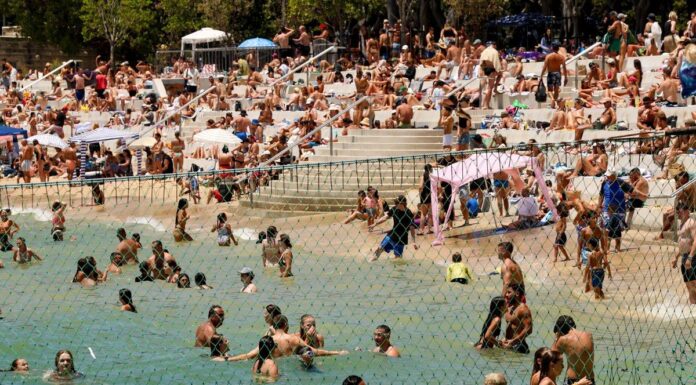 올여름 NSW 해변에서 1000건 이상의 구조 발생 Shark Beach at Nielsen Park in Sydney. (Sydney Morning Herald)