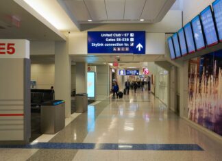 남성, 시드니 공항에서 80년 된 총기 소지 혐의로 기소되다 The man was stopped during an x-ray security check at Sydney Airport. (iStock)