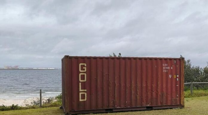 시드니 한 카운슬 해변나무 독살사건 조사 컨테이너 설치 논란 While the investigation is ongoing the council has maintained the shipping container will remain till ‘the newly planted trees reach height maturity level with the container’. Picture Bayside Council