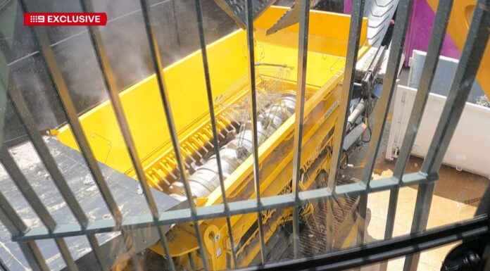 시드니 버려진 쇼핑카트, 파괴 예정 The croc is fed another trolley. (Nine)