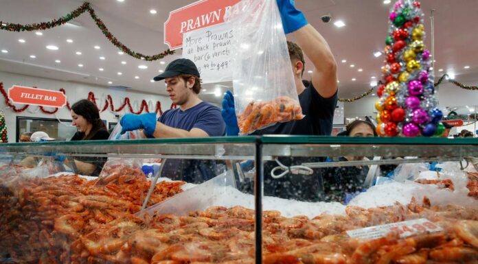 호주 시드니 피쉬마켓, 파산 위기 주장 부인 The Sydney Fish Market was founded in 1966. Picture NewsWire Nikki Short
