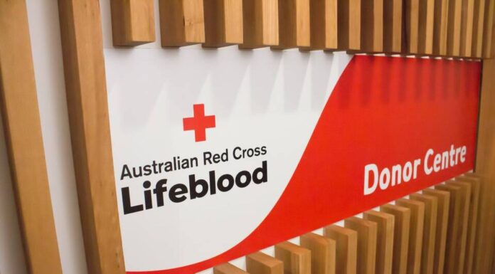 호주, 사이클론 알프레드로 인해 긴급 혈액 수급 비상 22 Lifeblood centres were closed due to ex-Tropical Cyclone Alfred. (Lifeblood)