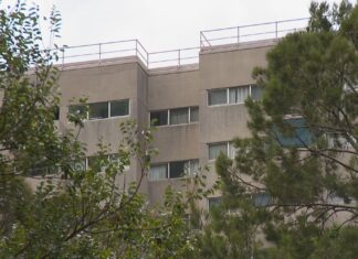 시드니 워털루 정부주택 거주자들, 주택 재개발 첫 단계로 퇴거 명령 받아 Residents are concerned they may be forced out in the development. (Nine)
