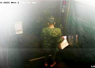 배달원이 시드니 아파트 승강기서 불쾌한 행동을 한 영상 화재 The delivery driver appears to urinate on the floor in lift inside a Sydney apartment complex. (2GBSupplied)