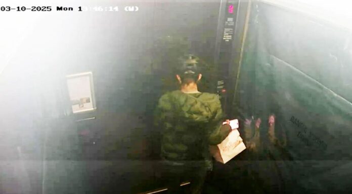배달원이 시드니 아파트 승강기서 불쾌한 행동을 한 영상 화재 The delivery driver appears to urinate on the floor in lift inside a Sydney apartment complex. (2GBSupplied)