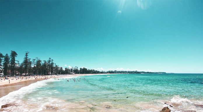 세계인들이 뽑은 호주 최고 해변 ‘맨리’ cat mastro_unsplash