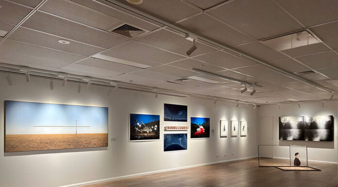 주시드니한국문화원, 展