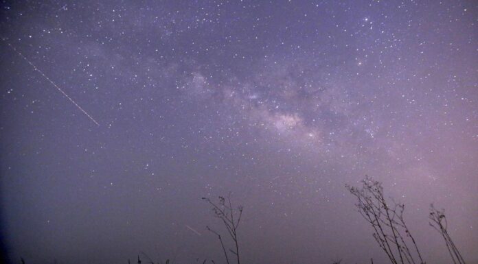 호주 시드니에서 관측 가능한 ‘라이라 우주쇼’ 21~22일 밤 절정 The Lyrid meteor shower will present a night skywatching show from April 17 to April 26. (YE AUNG THUAFPGetty Images)