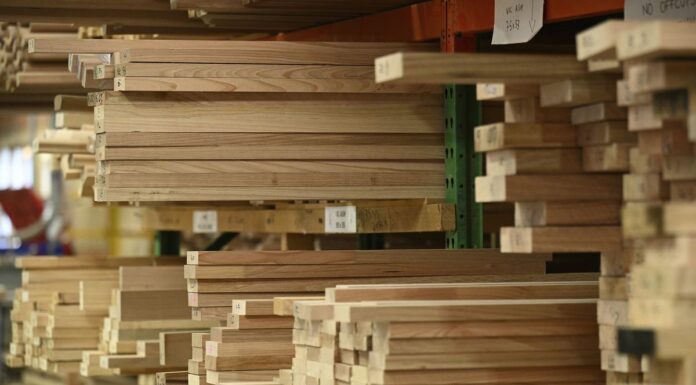 환경단체 호주 대법원 상대 삼림 벌채 법정 분쟁 승소 Forestry Corporation had argued third parties had no standing to bring civil enforcement proceedings. (AP)