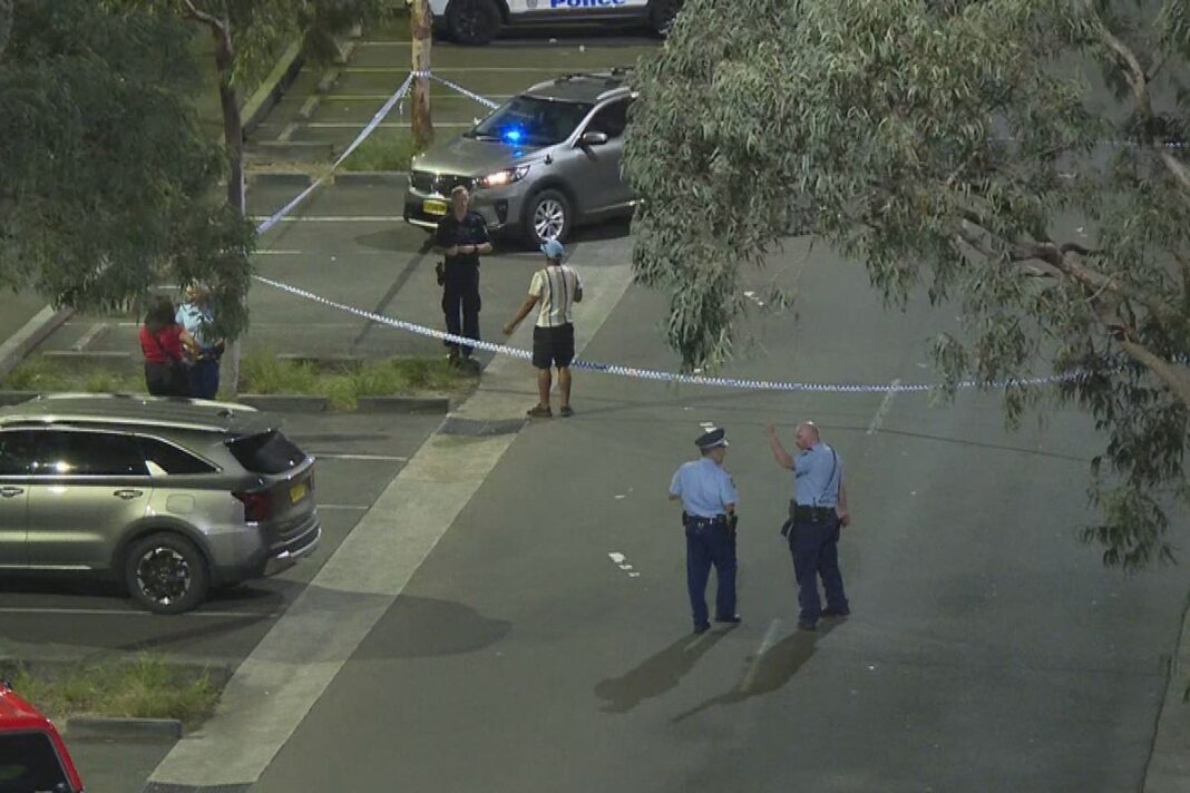 Up to 40 people were reported to be fighting at a park on Pirrama Road in Pyrmont last night. (9News)