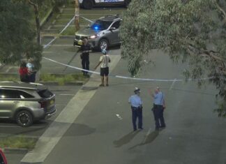 시드니 파크에서 40명 대규모 난투극, 경찰 캡시컴 스프레이 사용 Up to 40 people were reported to be fighting at a park on Pirrama Road in Pyrmont last night. (9News)