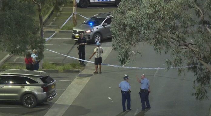 시드니 파크에서 40명 대규모 난투극, 경찰 캡시컴 스프레이 사용 Up to 40 people were reported to be fighting at a park on Pirrama Road in Pyrmont last night. (9News)