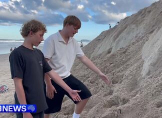 한 소년, 골드코스트 모래 사장 붕괴로 위험에 빠질뻔해 A teenager on the Gold Coast had a lucky escape yesterday after becoming trapped in a collapsing sandbank at Broadbeach. (Nine)