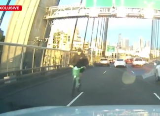 시드니 안작 브릿지에서 역주행 자전거 운전자 벌금 1000달러 Dashcam footage obtained by 9News shows cars slamming on the brakes as the cyclist rides towards them, weaving in and out of oncoming cars. (Nine)