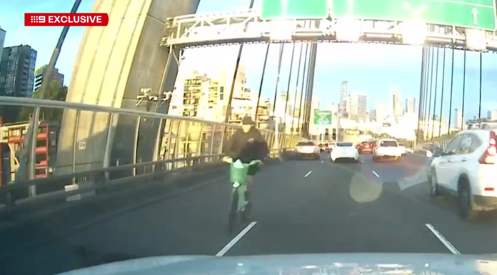 시드니 안작 브릿지에서 역주행 자전거 운전자 벌금 1000달러 Dashcam footage obtained by 9News shows cars slamming on the brakes as the cyclist rides towards them, weaving in and out of oncoming cars. (Nine)