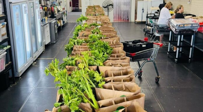 호주 시드니 자선단체 원밀, 거점 창고 퇴거 통보로 새 공간 급구 중 Volunteers cook, pick up, donate and deliver meals to those in need. (Supplied One Meal)