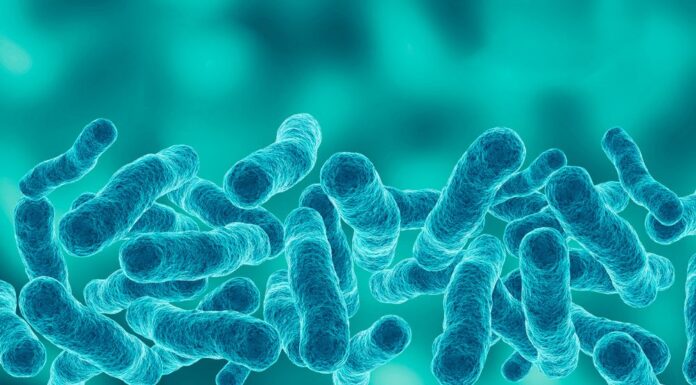 호주 시드니 CBD, 레지오넬라균 감염 확산…1명 사망, 12명 감염 A person has died from Legionnaires' disease after contracting the disease around the Sydney CBD last month. (Getty)
