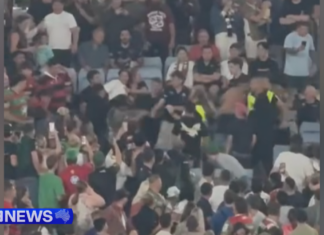 시드니 아코르 스타디움, Rabbitohs와 Roosters 경기 중 대규모 난투극 발생 Police are now investigating and Venues NSW has confirmed any offenders found by detectives will be banned from attending future events. (Nine)