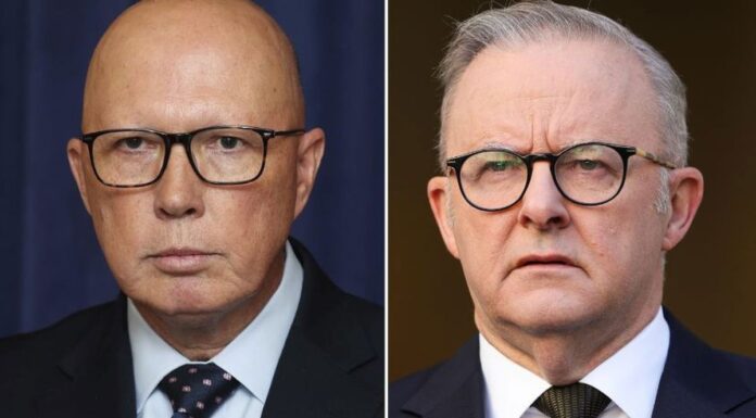 연방선거 초반 노동당 침체에서 반등 진입 Leaders of the ALP and the Coalition, Dutton and Albanese, will stand off this election (Nine)