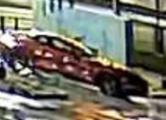 호주 울릉공에서 도난당한 8000달러 포켓몬 카드 회수 Detectives are appealing for information after a valuable collectable 'Pokemon'-brand card was stolen, and a man assaulted, at Warilla last month. (NSW Police)