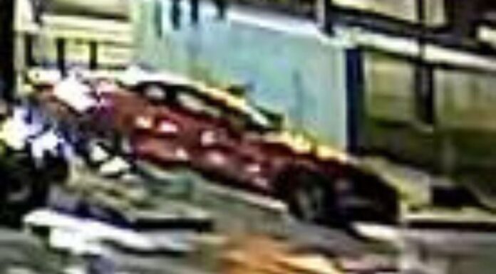 호주 울릉공에서 도난당한 8000달러 포켓몬 카드 회수 Detectives are appealing for information after a valuable collectable 'Pokemon'-brand card was stolen, and a man assaulted, at Warilla last month. (NSW Police)