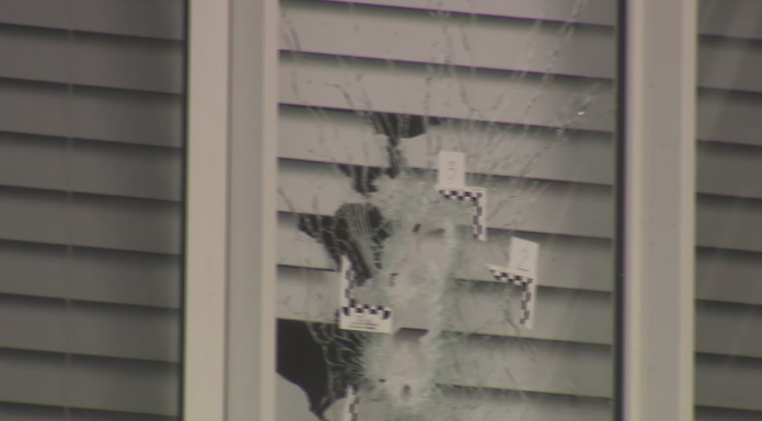 시드니, 총격과 방화 사건에 연루된 10대 체포 Bullet holes in the windows of the Marsden Park home. (Nine)